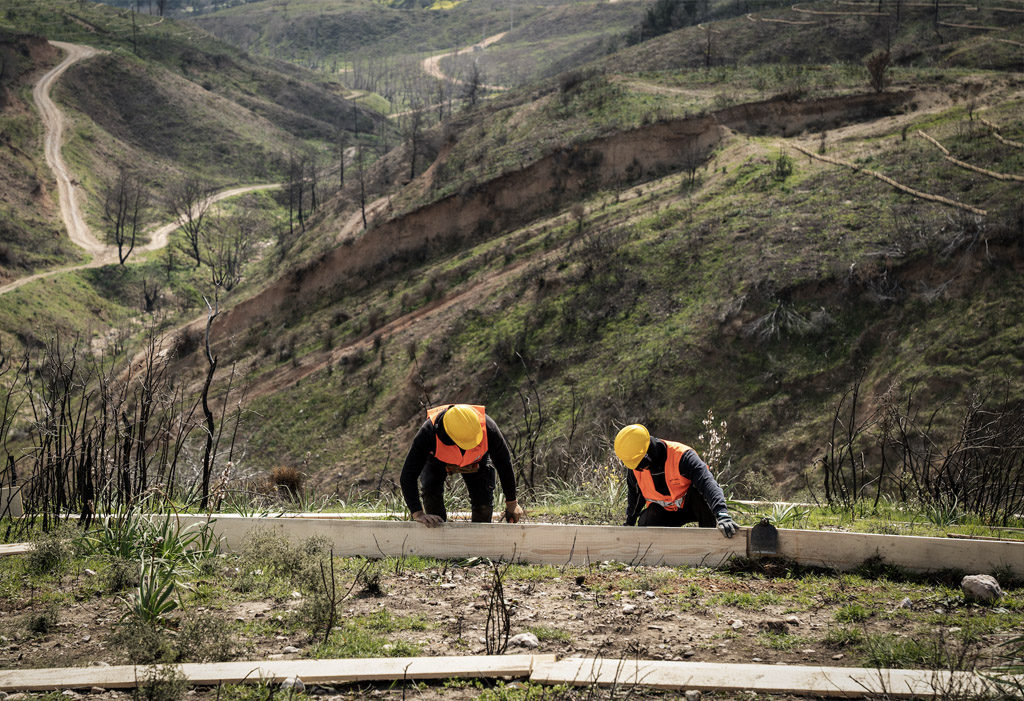 Κρυονέρι: Έργα αποκατάστασης μετά τις πυρκαγιές του 2025