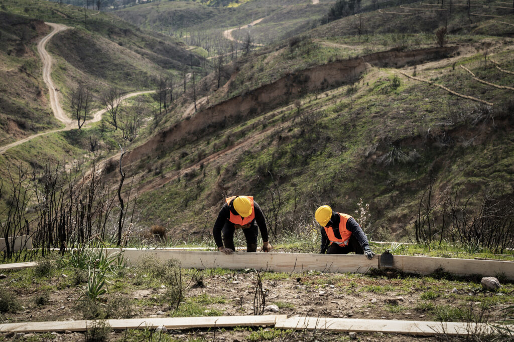 2026_Canellopoulos_Foundation_TITAN_Kryoneri_wildfires_restoration_2