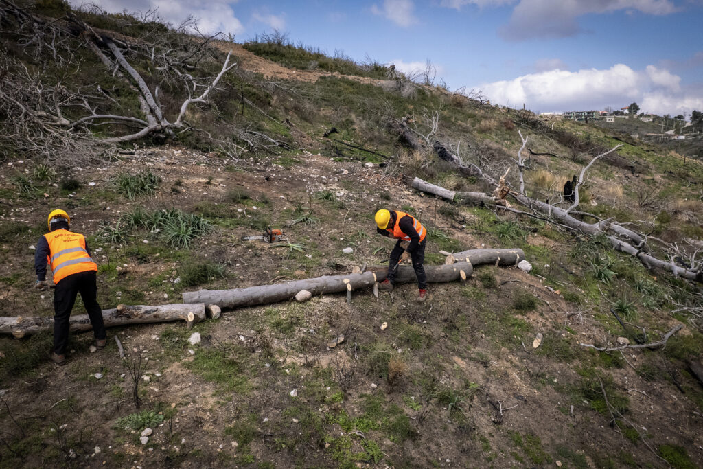 2026_Canellopoulos_Foundation_TITAN_Kryoneri_wildfires_restoration_3