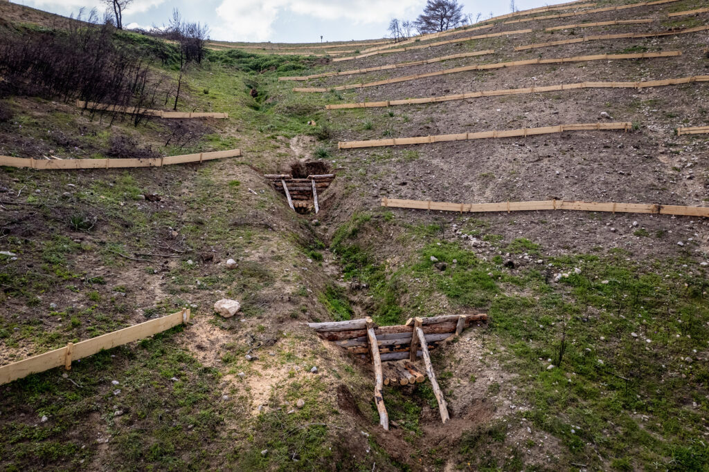 2026_Canellopoulos_Foundation_TITAN_Kryoneri_wildfires_restoration_5